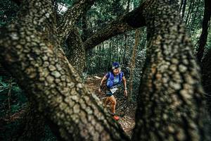 BIB: 
                            <button type="button" onclick="openModal(25392468)" class="btn btn-primary btn-sm float-right btn-popup" data-toggle="modal" data-target=".modal-high-quality">
                        <i class="fas fa-shopping-cart"></i> Add to Cart
                    </button>
                                            <button type="button" onclick="isThisMe(25392468, true)" class="btn btn-success btn-sm float-right btn-popup btn-isme hidden" data-toggle="tooltip" data-placement="bottom" title="นี่คือรูปของคุณใช่ไหม คลิกที่นี่เพื่อเอาเข้าอัลบั้ม">
                        <i class="fas fa-plus"></i> Add to album
                    </button>
                    <button type="button" onclick="isThisMe(25392468, false)" class="btn btn-warning btn-sm float-right btn-popup btn-isnotme hidden">
                        <i class="fas fa-ban"></i> Remove from album
                    </button>